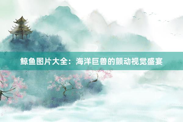 鲸鱼图片大全：海洋巨兽的颤动视觉盛宴